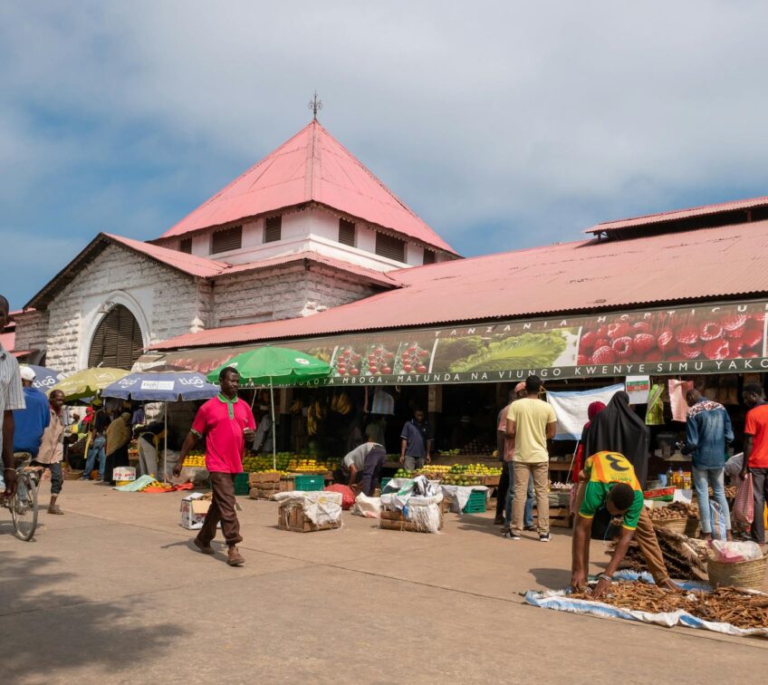 pexels-mikeknibbs-17931802