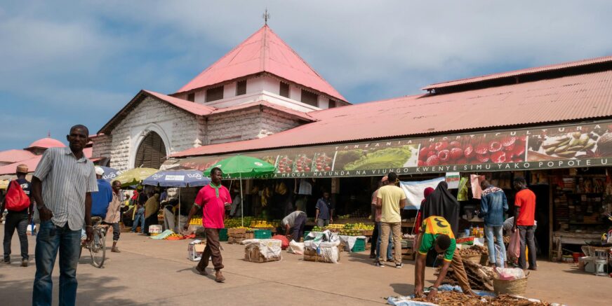 pexels-mikeknibbs-17931802